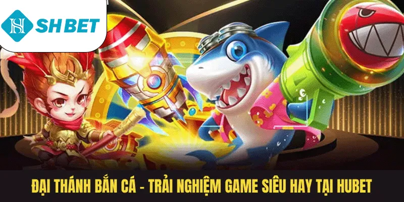 Banner www.suchin.vn