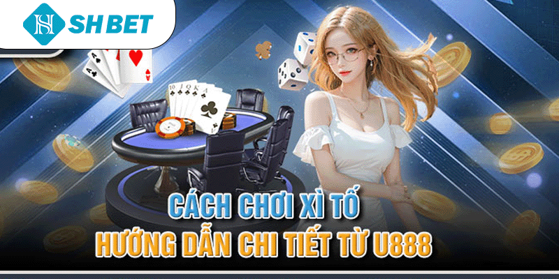 Banner www.suchin.vn