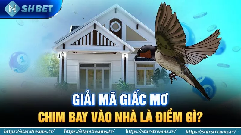 Banner www.suchin.vn