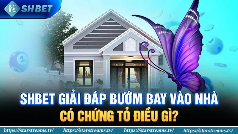 Banner www.suchin.vn