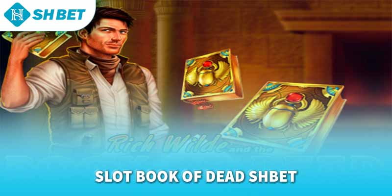 Banner www.suchin.vn