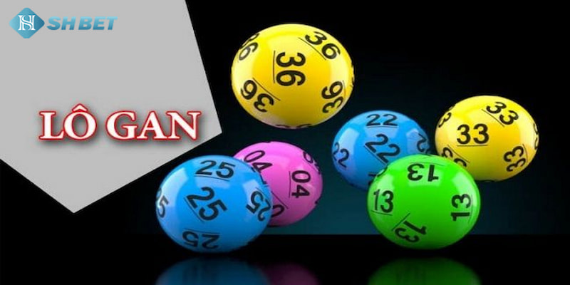 Banner www.suchin.vn