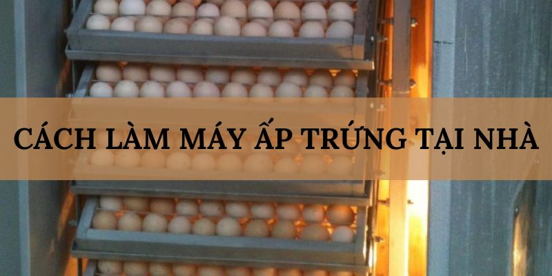 Banner www.suchin.vn