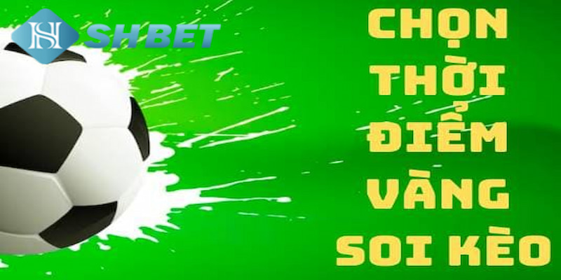 Banner www.suchin.vn