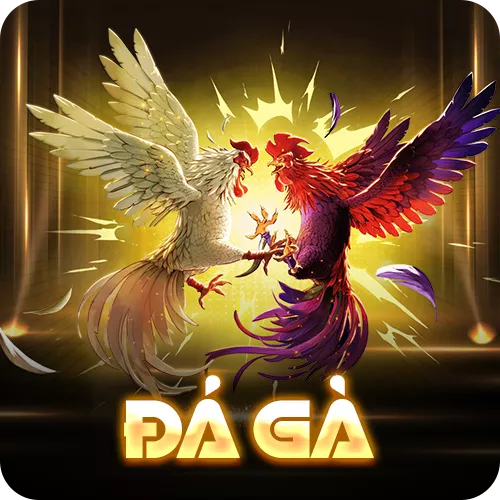 Banner www.suchin.vn