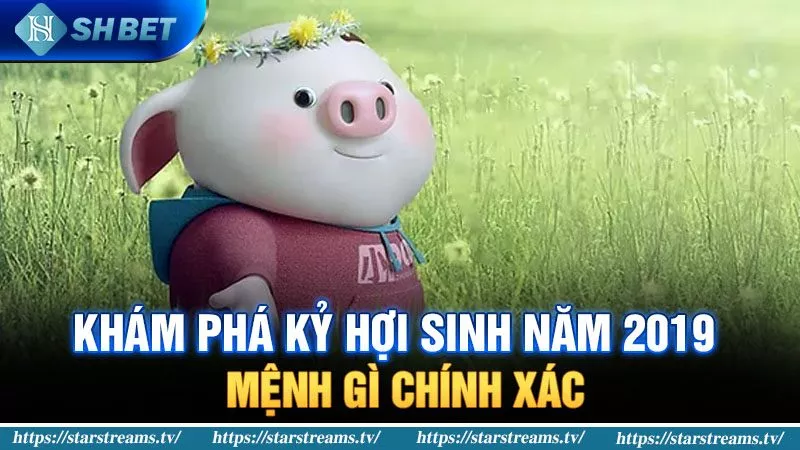 Banner www.suchin.vn