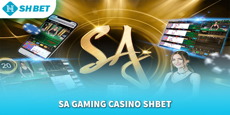 Banner www.suchin.vn