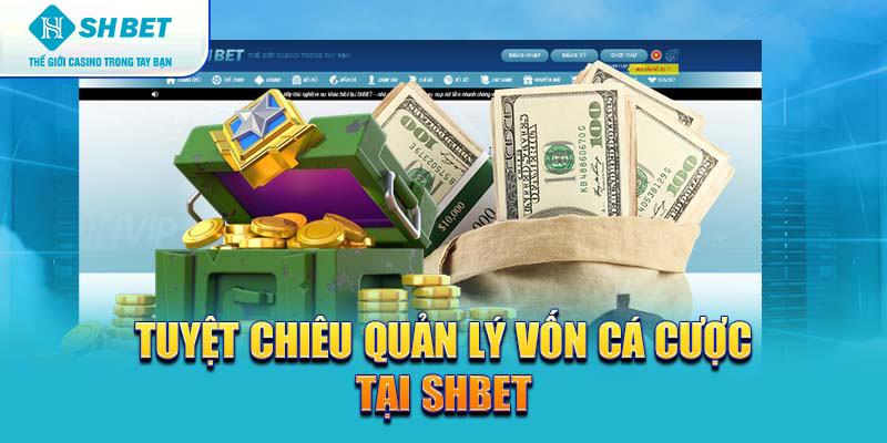 Banner www.suchin.vn