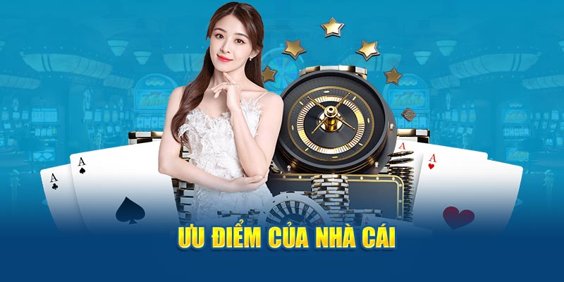 Banner www.suchin.vn